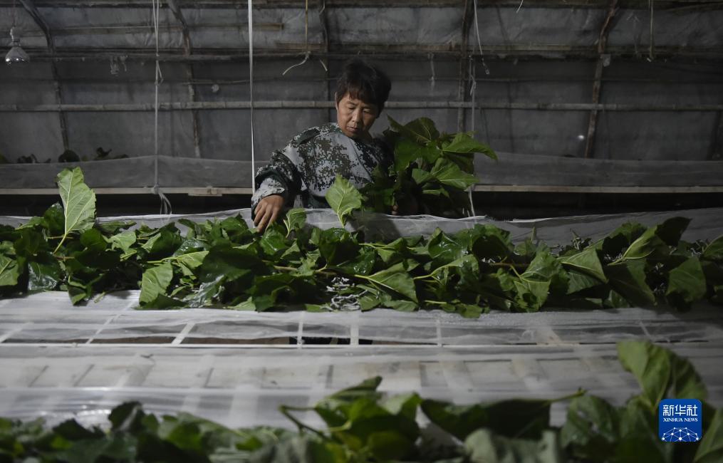 诚博国际客户端下载